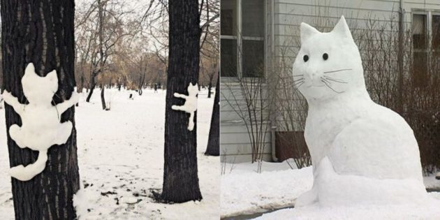 nieve figura: Gato