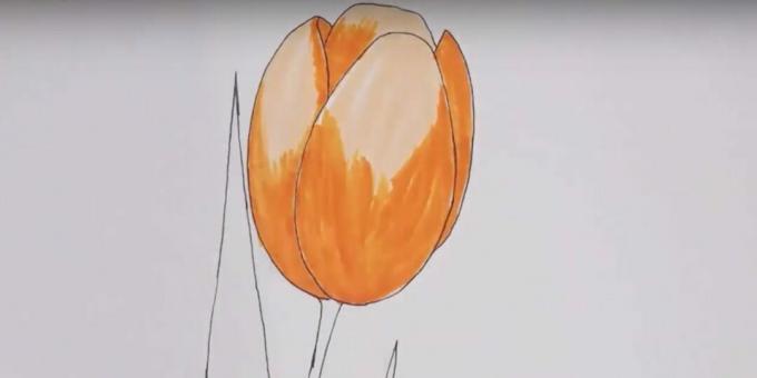 Cómo dibujar un tulipán: pintar el capullo de naranja