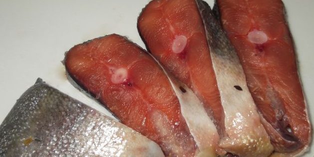 Cómo conservar en vinagre salmón rosado en pergamino