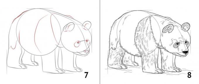 Cómo dibujar un oso panda