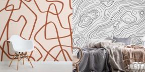 Lo que hay que elegir el papel pintado para el dormitorio: 6 diseño fresco