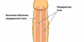 De lo que amenaza una fractura de pene y como tratarla