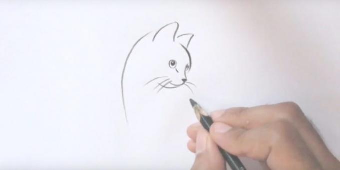 La pintura en el gato largo bigote