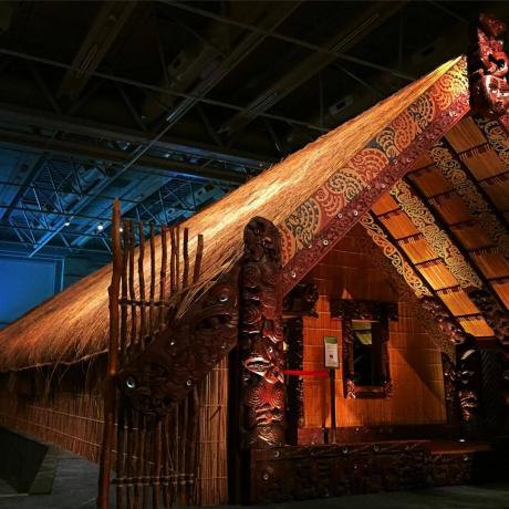 Museo de Nueva Zelanda (Te Papa Tongarewa)