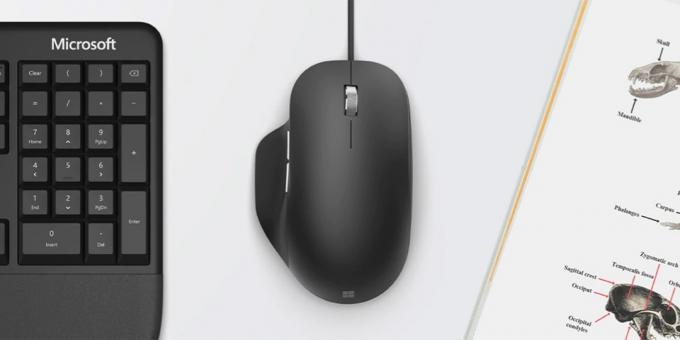 Ratón ergonómico Microsoft