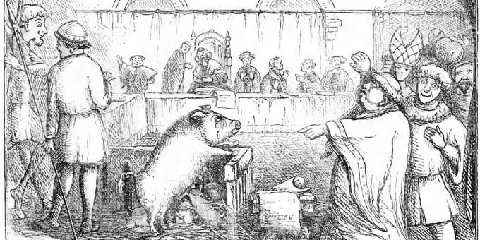 Un cerdo y sus lechones son juzgados por matar a un niño. Ilustración del libro del día de Chambers
