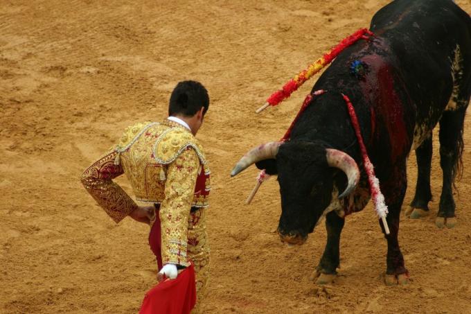 corrida de toros español