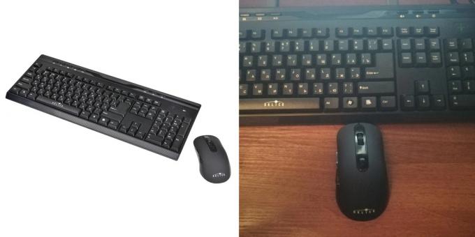 Teclado y el ratón