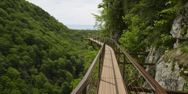 atracciones Georgia