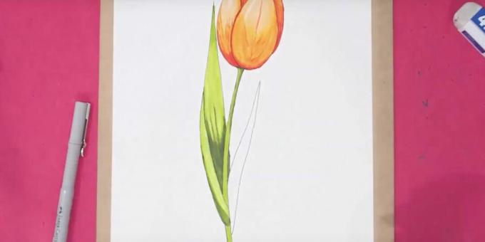 Cómo dibujar un tulipán: termina la hoja izquierda