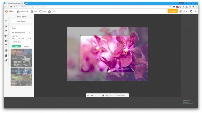 PicMonkey: el modo de edición