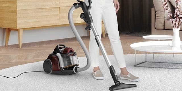 ¿Cómo elegir una aspiradora: Standard Vacuum Cleaner