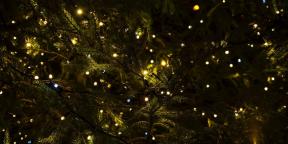 6 tradiciones de Navidad que nos han llegado del paganismo