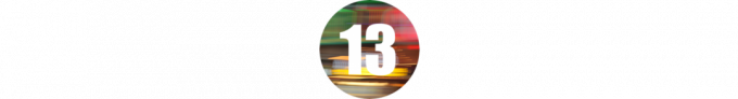 13