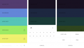 Coolors - la forma más fácil de elegir la paleta de colores perfecta