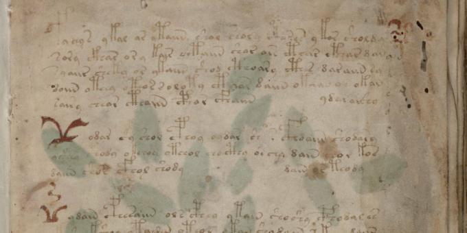Los misterios de la historia: el manuscrito Voynich