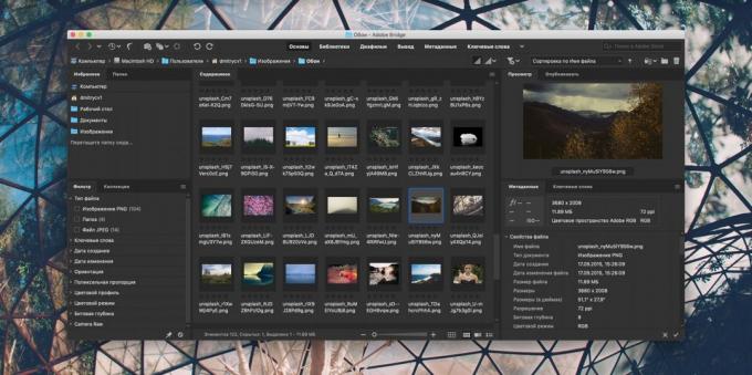 ¿Cómo organizar una colección de fotos: Adobe Bridge