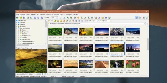 ¿Cómo organizar una colección de fotos: FastStone Image Viewer