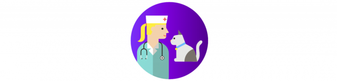 cómo cuidar a un gato: una visita al veterinario