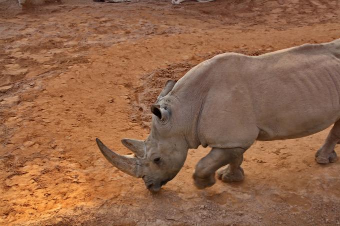 Biopark de Valencia