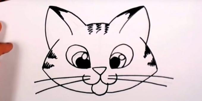 Cómo dibujar un gato hocico en estilo de dibujos animados
