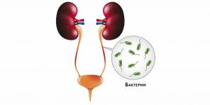 ¿Qué es la pielonefritis y cómo tratarla?