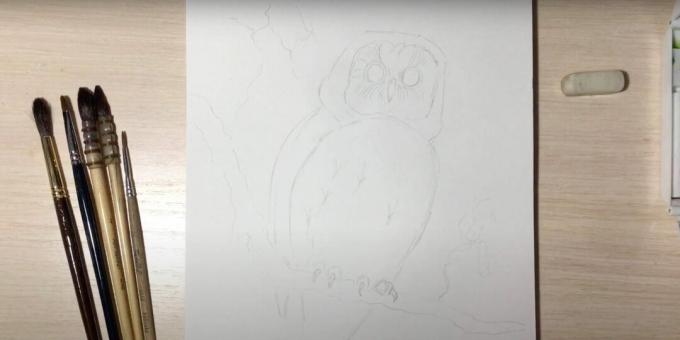 Cómo dibujar un búho: representa garras, ojos y una rama.