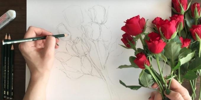 La pintura en los pétalos y sépalos en la parte inferior dos rosas. En la foto izquierda unas cuantas hojas