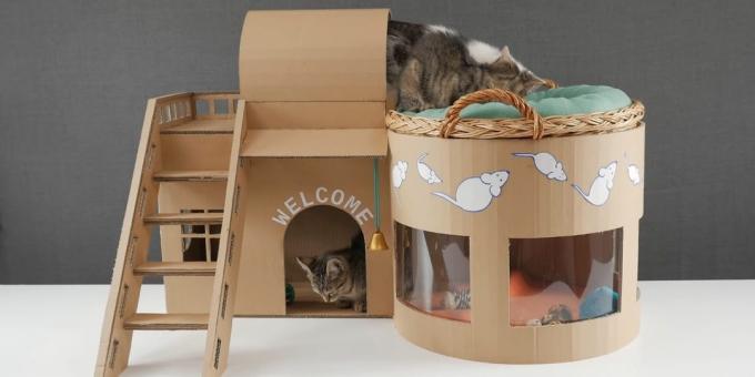 Cómo hacer una casa de dos pisos para el gato está fuera de la caja con sus manos