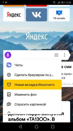 Cómo activar el modo de incógnito "Yandex. navegador "