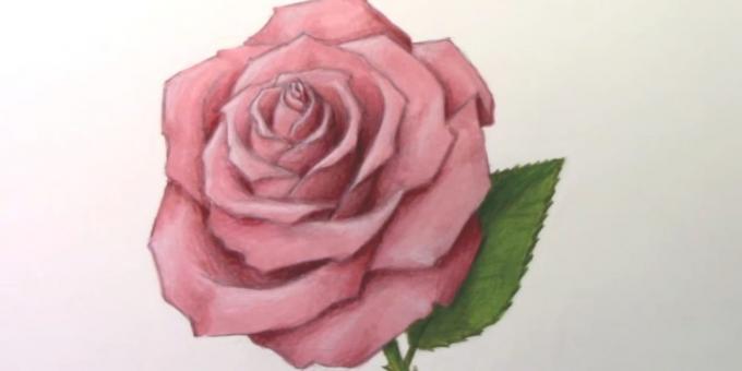 Cómo dibujar una rosa marcadores divulgados y lápices de colores
