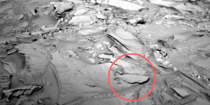 Fotos de espacio: un pez petrificado en Marte