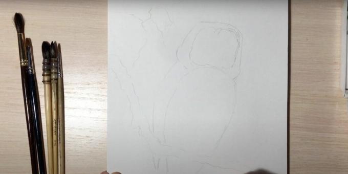 Cómo dibujar un búho: delinea la rama y el cuerpo de un búho