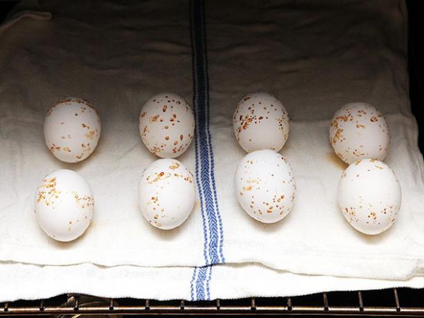 Cómo cocinar los huevos en el horno