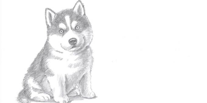Cómo dibujar un perro que se sienta en un estilo realista