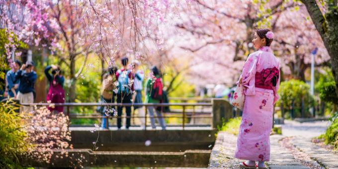 Dónde ir en abril en Kyoto, Japón