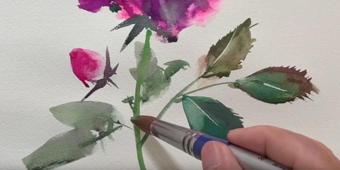 La pintura en los sépalos, un pequeño brote, tallo y unas cuantas hojas