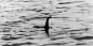 Los científicos hablaron de la DNA monstruo Loch Ness