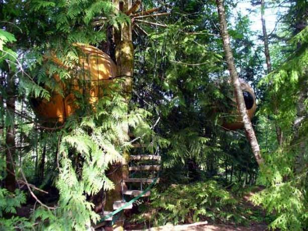 Treehouse, que puede ser reservado