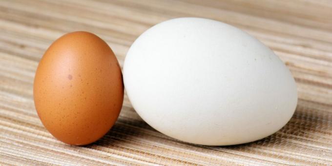 Cuánto cocinar huevos de ganso