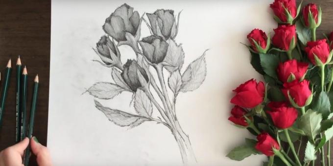 Cómo dibujar un ramo de rosas lápiz