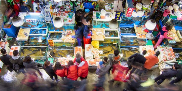 Atracciones Corea del Sur: es necesario visitar el mercado de pescado