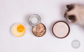 Recetas: Galletas de pescado para gatos