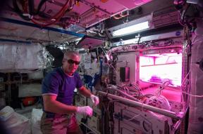 Ensalada en el espacio. Los astronautas crecen las plantas en la ISS y por qué importa